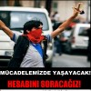 berkinelvan-YDG