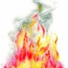 newroz 1