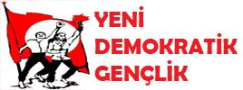 YDG LOGOSU